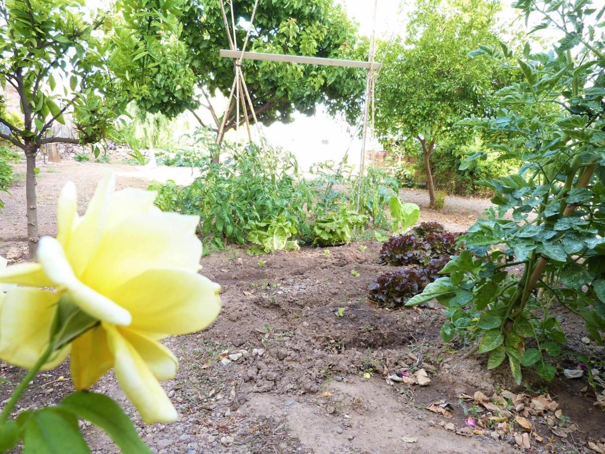 Вилла Hort De La Cinteta Alcover Экстерьер фото
